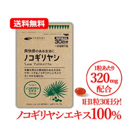 メール便　送料無料　ノコギリヤシ 1粒あたり320mg配合! エナジー ノコギリヤシ　30粒入（1日1粒 1ヶ月分） ソフトカプセル サプリメント　ノコギリヤシエキス100％