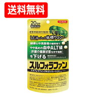 【井藤漢方】【メール便！送料無料！】しじみの入った牡蠣ウコン　スルフォラファン　60錠