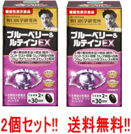 【送料無料　2個セット!!】 野口医学研究所 ブルーベリー＆ルテイン EX 60錠×2個　機能性表示食品