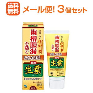【送料無料!メール便!3本セット】小林製薬 ひきしめ実感 薬用 生葉ha 100g×3本ひきしめ生葉