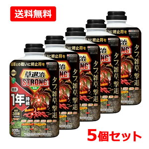 �y���������E5�Z�b�g�z�yKINCHO���|�z���ގ��X�g�����O ���� 800g×5�Z�b�g�G�� ������ ���L�^�C�v �X�g�����O�V���[�Y ���^�C�v �N�T�m��GT����