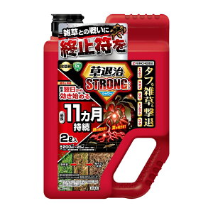 �s KINCHO���| �t ���ގ� �X�g�����O �V���[�Y �V�����[ 2L ���p ������ �� �K�[�f�j���O �Œ�11�������� �G�� �L���`���[