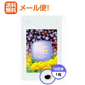 【メール便対応!! 送料無料!!】ハッピーブルーベリープラス30粒【1ヶ月分】【アイケア】