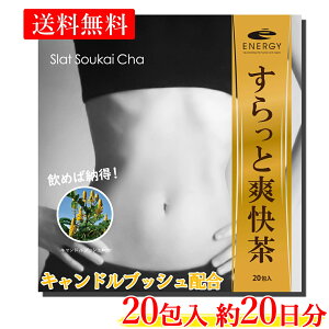 yE[ zLhubVz mJtFCN tďC ! GiW[ Ƒu 20 20LhubV GrXOT̎q  ݂̉ʔ Ñ 