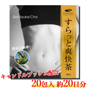 N tďC GiW[ Ƒu 20 20 LhubVz mJtFC@y LhubV GrXOT̎q  ݂̉ʔ Ñ t _ [