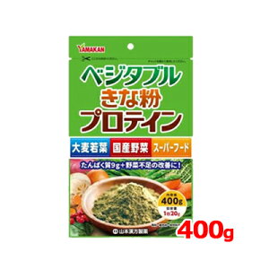 �R�{���� �x�W�^�u�����ȕ��v���e�C�� 400g�唞��t ���Y��� �X�[�p�[�t�[�h