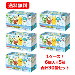 Si܂Ƃߔy2P5{I3P10{z11/27 1:59܂ő吳 |r^LbY[[ l 125g×30 1P[X fUCS4 |P [[ MǑ΍ P[X 