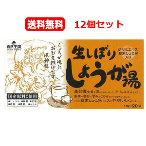 まとめ割!【送料無料!12個セット】【協和】自然王国生しぼりしょうが湯 (18g×20包)×12【39】