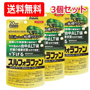 【井藤漢方】【メール便!送料無料!】しじみの入った牡蠣ウコン スルフォラファン 60粒×3個セット