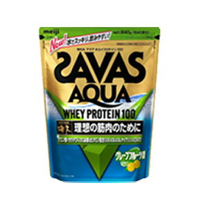 UoX@ANAzGCveC100@yO[vt[cz@40HE800g