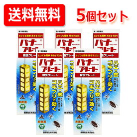 【第1類医薬品】【5個セット!送料無料! まとめ割！】パナプレートLW120g×2枚入　国際衛生株式会社■　要メール確認　■薬剤師の確認後の発送となります。何卒ご了承ください。