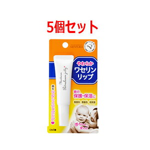 y܂ƂߔI5ZbgIzyߍ]ZЁz^[炩Zbv10g×5