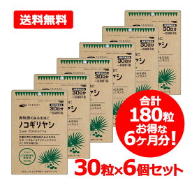 【お得な6か月分！】【送料無料・ネコポス便】ノコギリヤシ 1粒あたり320mg配合! エナジー ノコギリヤシ 30粒入（1日1粒 1ヶ月分）×6個セット ソフトカプセル サプリメント ノコギリヤシエキス100％