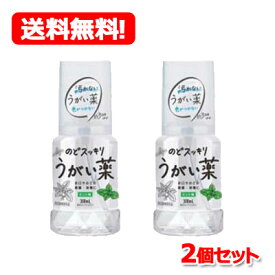 ★全商品【2個でP5倍！3個でP10倍】まとめ買いがお買い得! 4/10 1:59まで【送料無料・2個セット】【健栄製薬】ケンエー　のどスッキリうがい薬CPミント味　300ml×2個セット【医薬部外品】のどの殺菌消毒洗浄口臭の除去