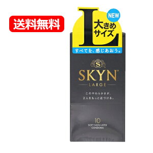 �y��`�O�X�ցE���������I�z�y�s�񃉃e�b�N�X�zSKYN���[�W10����