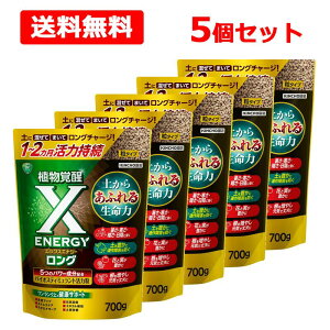 �y���������z�s KINCHO���| �t X-ENERGY �����O ���^�C�v 700g×5�Z�b�g �y �L���`���[