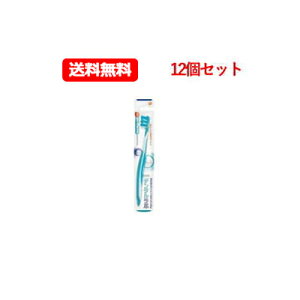 【メール便送料無料!12個セット】【ポリデント】デンタルラボ 部分入れ歯専用ブラシ12本セット