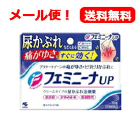 【第2類医薬品】【メール便！送料無料】小林製薬フェミニーナUP　15g