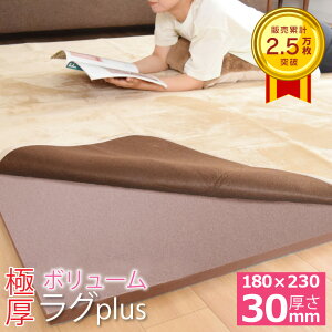 ���O ���~�� ���� �J�[�y�b�g �E���^�� ����~�� ���\ ���� �Ɍ� 3�� ��180×230cm ���~�����O ����30mm ���O�v���X �A���_�[���O �ӂ��ӂ� ���ׂ�~�� �􂦂� �h�� �Չ� �t���[�J�b�g �t���A ���~