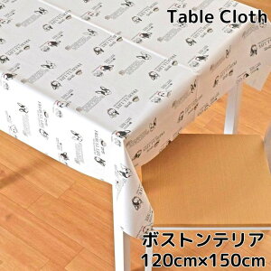 �e�[�u���N���X �����{�X�g���e���A �r�j�[�� ��120×150cm ��120cm �z���C�g �ϐ� �h�� ������� �����` ���� �C�k ���A�j�}���� ���r���O �_�C�j���O ���_�� ���킢�� ���� �k�� �����r�j�� PV