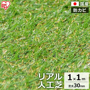 [ 1m×1m ŏ30mm IP-3011 lH AlH lHŐ Ő lHŃ}bg Ő}bg ŏ3cm lHŃ[ Ő  eX ACXI[}