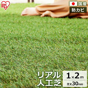 _11/1聚|Cg5{^lH ACXI[} [ 1m×2m y2āzŏ30mm IP-3012 lH   Ő K[f AlH lHŐ Ő Ő}bg ȒP 100cm×200cm ŏ3cm lH