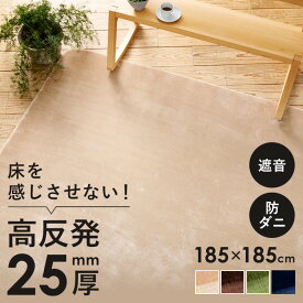 《最大3000円offクーポン配布中★30日12時~》ラグ カーペット 高反発ラグ 185×185cm フランネルラグ ラグ ラグマット カーペット 絨毯 高反発 クッション 185×185 185 滑り止め 防ダニ 正方形 20mm グリーン ブラウン ベージュ ネイビー【D】