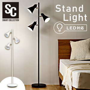 X^hCg  _ k LED 3 dʔ tACg X^h X ԐڏƖ tAv VF[h px tAX^h Cg gݗĊȒP Vv Ɩ r