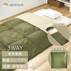 _11/1聚|Cg5{^Q Vt }~[^ NbVɂȂ3WAYVt  J[L X0018L _E y t[ht [ܕt h |zc AEghA Lv ~p g Q 