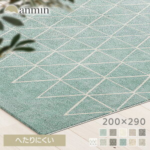 EBgDO2029 54355-560 EBgD J[ybg O [bp gR CeA ӂӂ zbgJ[ybgΉ k ʔN  ~ I[V[Y pC yV 3 4 