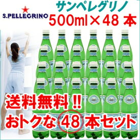 【送料無料】(炭酸水) サンペレグリノ 500mL× 48本入【天然炭酸水ペットボトル】【D】【代引き不可】