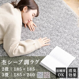 ラグ おしゃれ 北欧 2畳 3畳 リビング 185 240 滑り止め ラグマット カーペット 絨毯 床暖房対応 お手入れ 簡単 ホットカーペット対応 正方形 長方形 秋冬 消臭 暖かい オールシーズン ボア アイリスオーヤマ ORG-S1818 ORG-S182[SA]