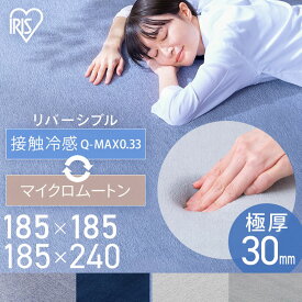 ラグ 2畳 185 185 3畳 185 240 おしゃれ リビング 北欧 オールシーズン 厚手 滑り止め シート ラグマット カーペット 長方形 防音 撥水 ホットカーペット対応 正方形 極厚 高反発 3cm 30mm らぐ アイリスオーヤマ ACRR-CM[SA]