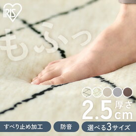 ラグ 1.5畳 2畳 3畳 カーペット ラグマット 絨毯 厚手 2.5cm おしゃれ シンプル オールシーズン ホットカーペット対応 防音 滑り止め付き こども ペット 一人暮らし リビング アイリスオーヤマ ふっくらウレタンラグ ORG-25C *