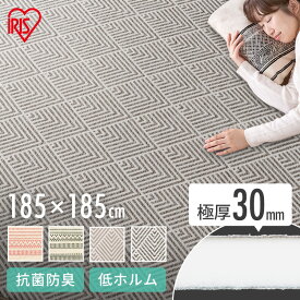 ラグ カーペット 北欧 おしゃれ ラグ ラ・クッションラグ ジャガード ACRJ-1818EG Ethnic レッド グリーン Geometry ライト ダークラグ マット カーペット 絨毯 リビング ホットカーペット対応 幾何学 アイリスオーヤマ