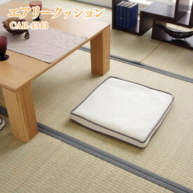 ★10％OFF★クッション 座椅子 椅子 厚手 高反発 5.5cm チェアクッション 腰痛 対策 長時間 疲れにくい オフィス エアリー 43×43cm クッション アイリスオーヤマ 反発力 腰痛対策 運転 抗菌 防臭 ブレスエアー エアリーマットレス CAR-4343 [2603SE]