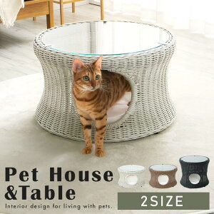 ybgnEX  L ybgpi  CeA ^ i TChe[u e[u ی^ ybgxbh TChe[u Lxbh e[u ^ xbh Vv  L lR 