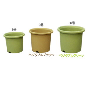 _11/1聚|Cg5{^xW^u|bg 8 xW^uO[ExW^uuE ACXI[}