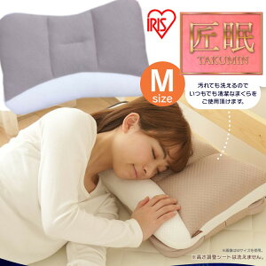  ܂ 􂦂 pCv ܂ 37×57cm v[g Mtg  nCNXs[ MTCY  \tg n[h pCv 킽  tBbg PM4S-M PM4H-M ACXI[}  p