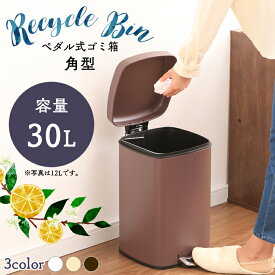 ごみ箱 ゴミ箱 ペダル ペール ごみばこ ペダル式ゴミ箱 角型 30L AFB-S30キッチン 台所 お洒落 オシャレ ごみ箱 ペール ペダル式 四角 30L ふた付き ガスダンパー スタイリッシュ