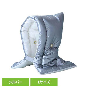 {hF A~hЂ LTCY Vo[ 31-6004hГ hЃNbV h ЊQ hFi Rn R킽  tF[Yt[