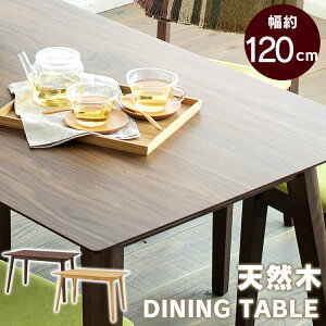 e[u  _CjOe[u DTV-1275 120×75 e[u _CjO rOe[u 120 ` ؐ rO  Vv H VR ؐ 2lp 4lp  킢 Vv