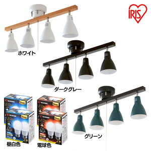 yleddZbgz V[OCg  LED 4 leddΉ Ɩ k Ebht[ VF[h px 邢 rO _CjO Ɩ ACXI[} 4V[OCg 