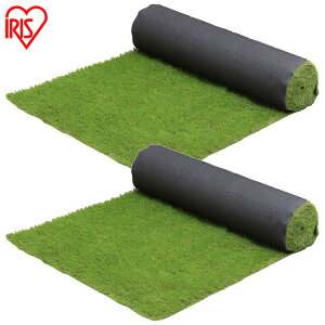 y2ZbgzlH ACXI[} [ 2m×10m ŏ30mm RP-30210  Ő A K[f x_ K[fjO ȒP h ybg oRj[ G lHŃ}bg Ő}bg [ [