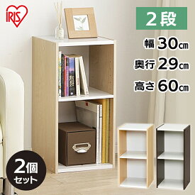 【2個】 収納棚 ラック スリム 幅30cm 奥行29cm 隙間収納 棚 2段 可動棚 キッチン 洗面所 ランドリー リビング 収納 縦横連結 収納ラック 収納ボックス スペース収納 すき間収納 スペースユニット アイリスオーヤマ UB-6030 *
