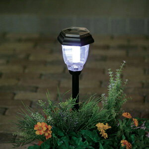 K[fp\[[Cg GSL-P4W O K[fjO  h Ɩ Cg ACXI[}