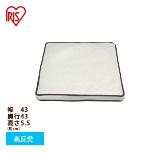 NbV  5.5cm GA[ 43×43cm  NbV GA[ ACXI[}  ɑ΍ yVzcuXGA[ GA[}bgX  CAR-4343