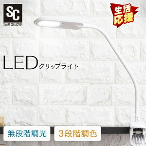 fXNCg  Nbv led X^hCg  LED Ɩ NbvCg RZg ドCg 邢  F px Ǐ X^h ڂɗD ȃGl wK xbhT