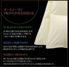 【プレミアムゴールドラベル】ポーランドマザーグース95%使用!2枚合せ超長綿80サテン羽毛布団クイーン45207生成寝具ふとんかさ高ラベル布団羽毛協会認定国産送料無料【代引不可】【取寄せ品】