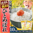 �ҤȤ�ܤ�10kg(5kg&times;2������̵���������б����Ƥ��Ƥ��ӥҥȥ�ܥ�ܾ�Τ��Ƶܾ븩�����ơ�28ǯ�ٻ��ۡ�TD�ۡ���TRS�ۡڥ᡼����ľ���ʡ�